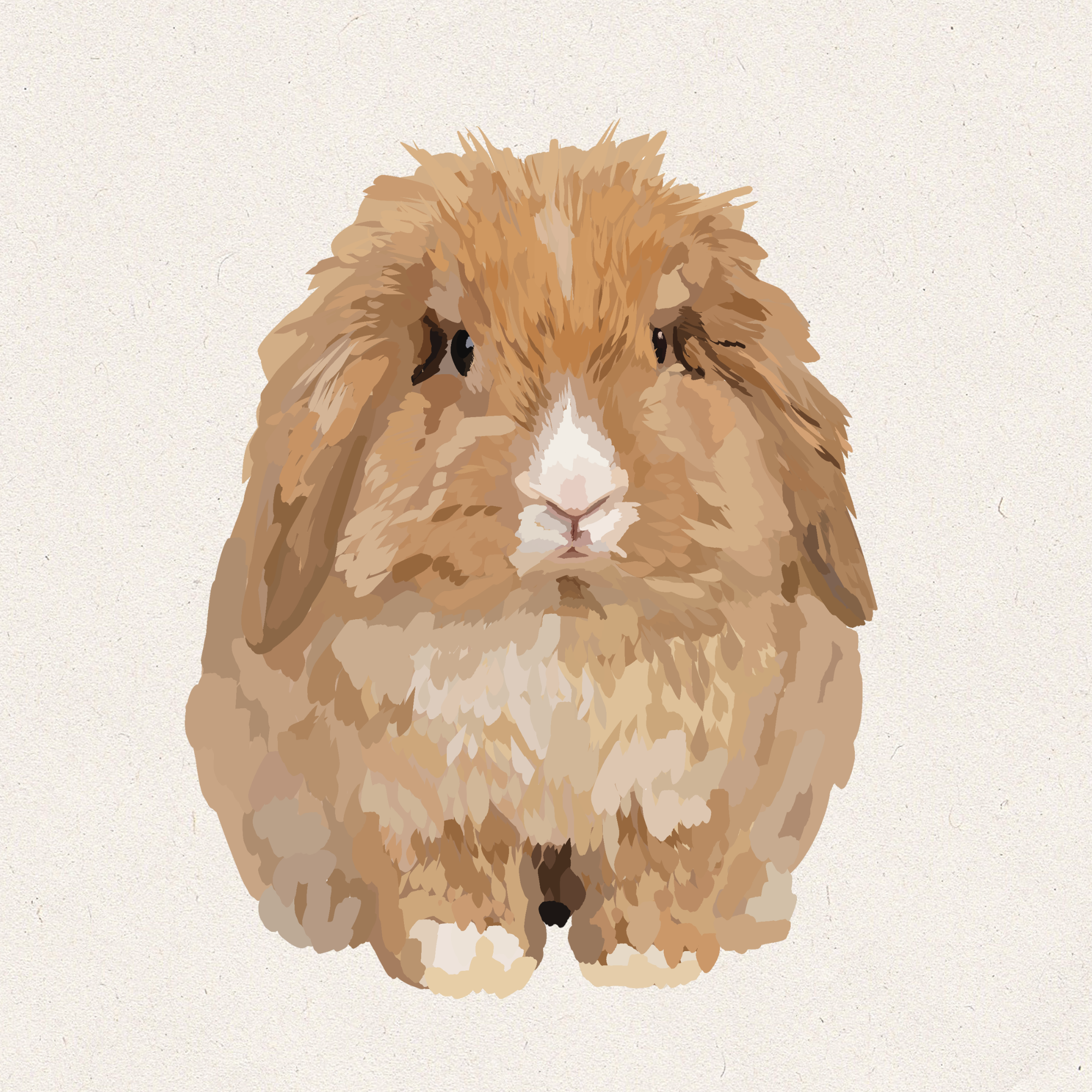 Toffee - Fawn VM Teddywidder