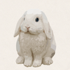 Pearl - BEW Holland Lop