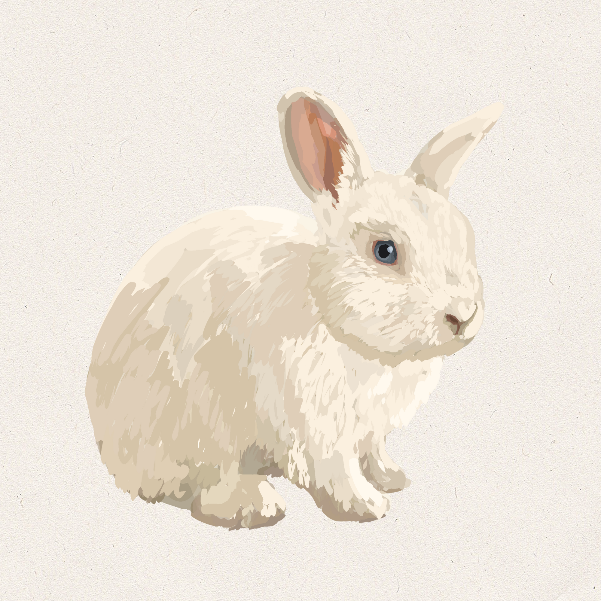 Lumi - Blue Eyed White