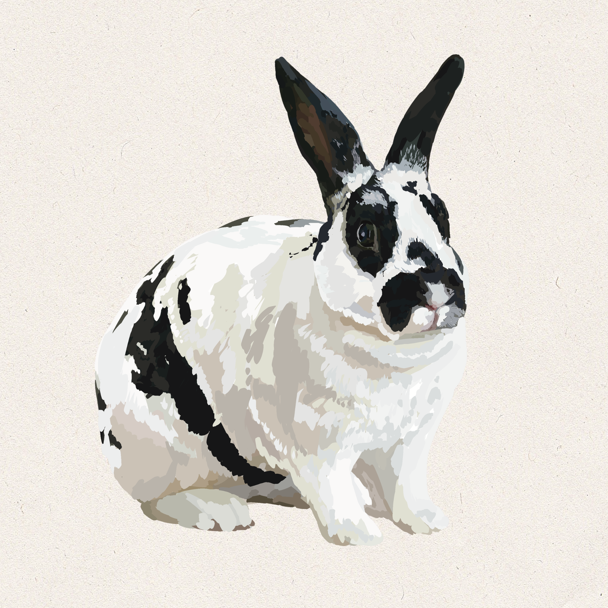 Inky - Broken Black Mini Rex