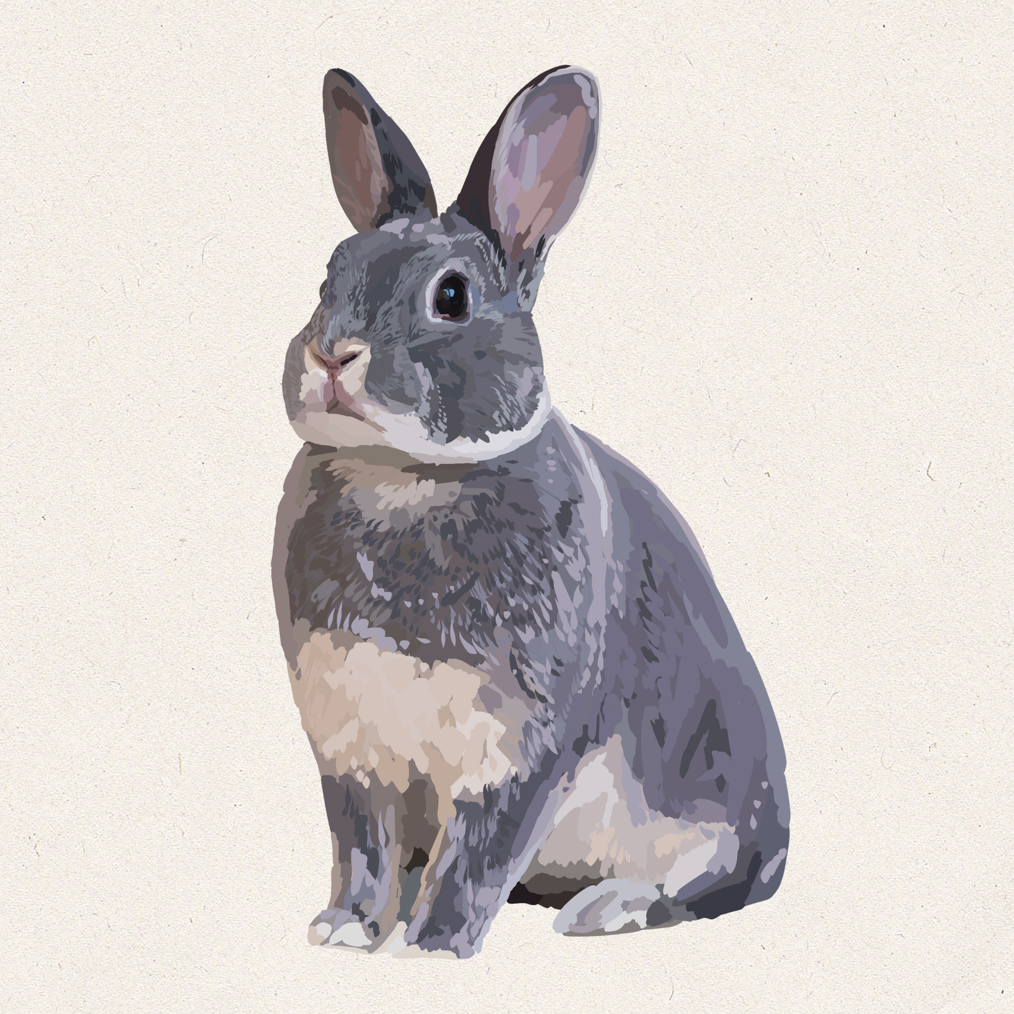 Soot - Opal Mini Rex