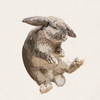 Mushroom - Sable Point Marten Mini Lop