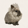 Nimbus - Smoke Pearl Lionhead