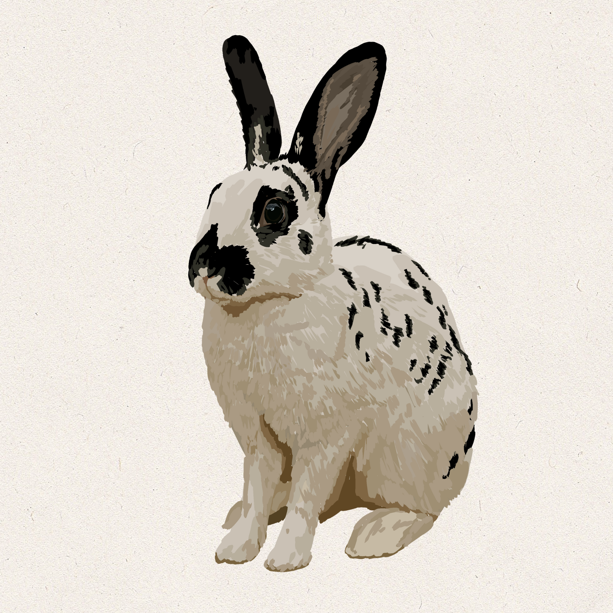 Pebble - Black English Spot