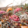 Autumn Foraging Box