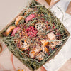 Autumn Foraging Box