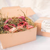 Valentine Mini Foraging Box