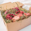 Valentine Mini Foraging Box