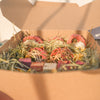 Market Foraging Box
