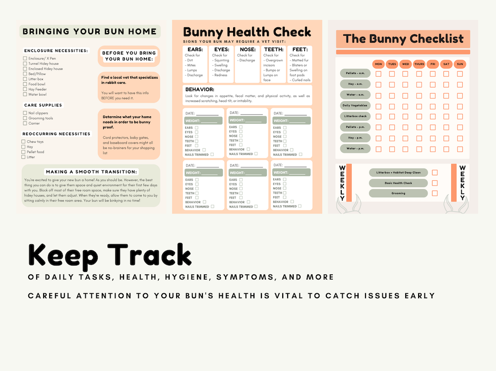 Rabbit Owner Toolkit – Little Beast Treats
