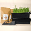 Wheatgrass Growing Kit-info